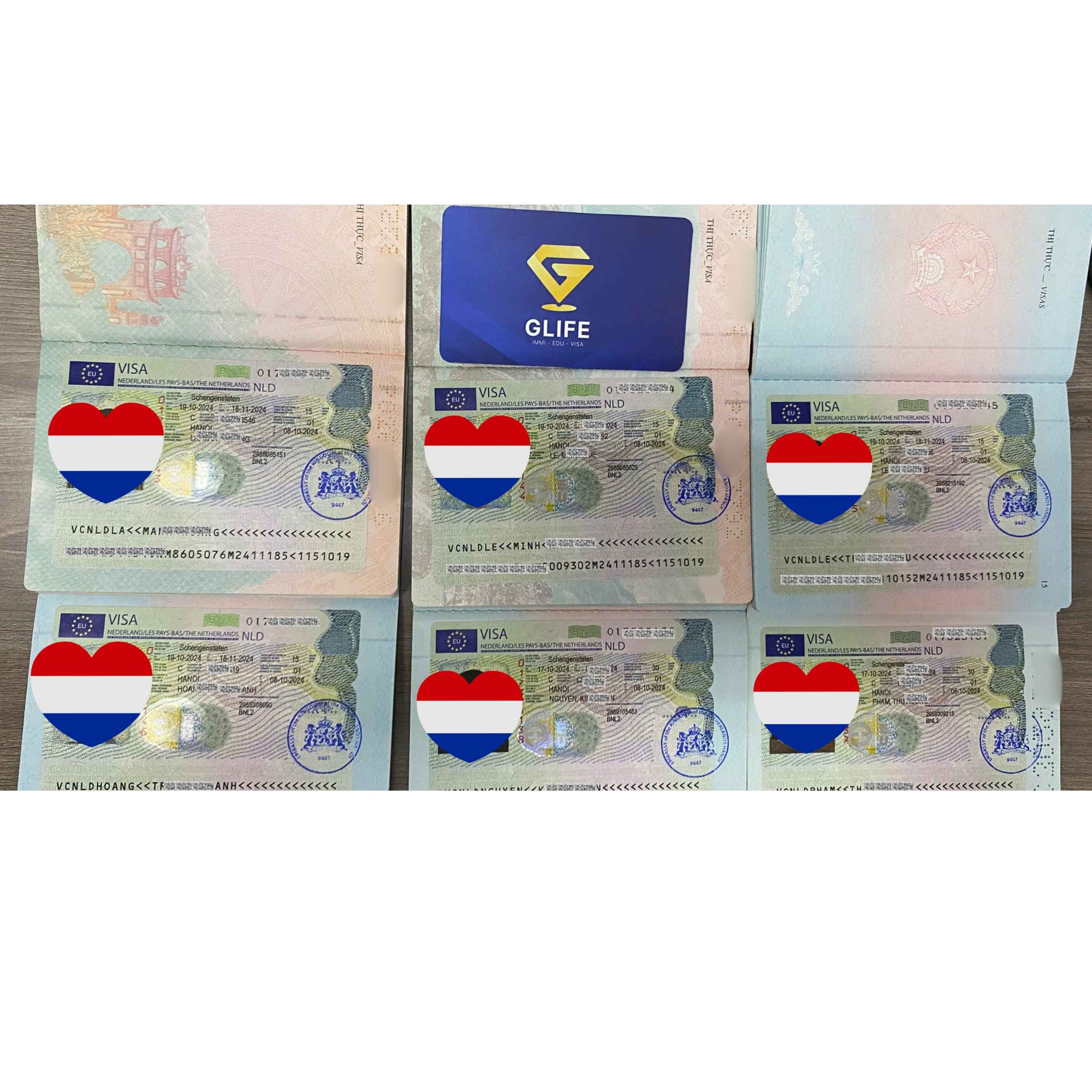 visa_ha_lan_2
